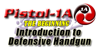 P1a P1a